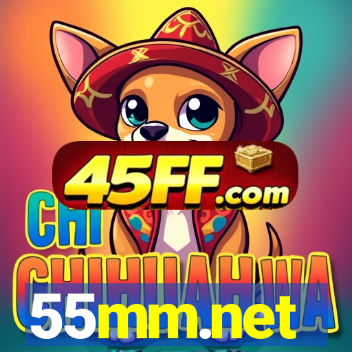 55mm.net
