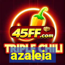azaleia-br.com