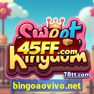 bingoaovivo.net
