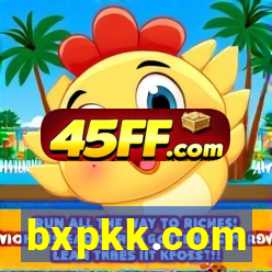 bxpkk.com