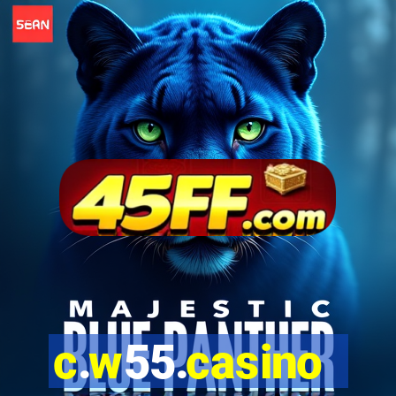 c.w55.casino