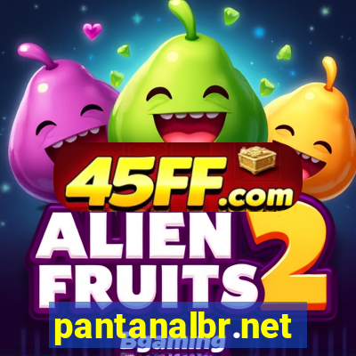 pantanalbr.net