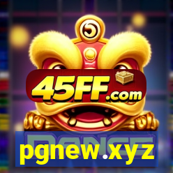 pgnew.xyz