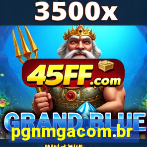pgnmgacom.br