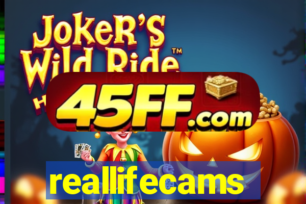 reallifecams
